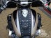 HONDA VALKYRIE F6C GL 1500 C LEATHER TANK Pad Panel Bib Chap Bra